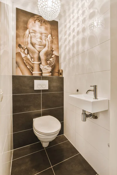 Éléphant Sur Mur Côté Une Toilette Dans Une Salle Bain — Photo