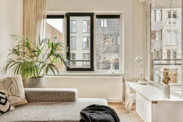 Ruang Tamu Dengan Sofa Jendela Dan Tanaman Sudut Sisi Kanan — Stok Foto