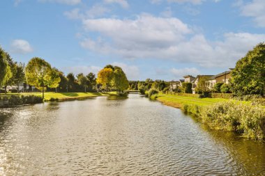 Diğer tarafında evler olan bir nehir ve gölün ortasında yemyeşil çimlerle çevrili ağaçlar.
