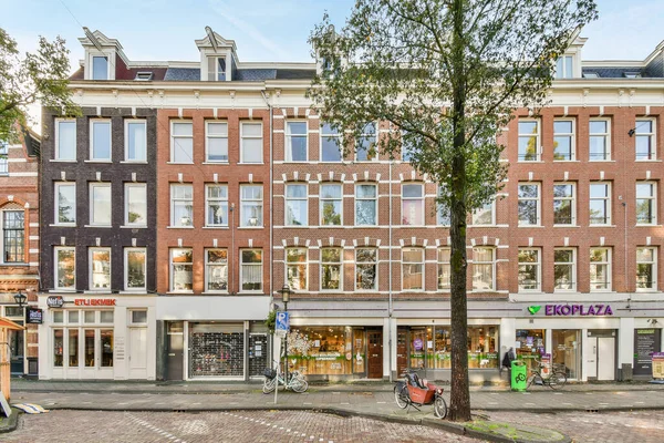 Άμστερνταμ Ολλανδία Απριλίου 2021 Ένα Δέντρο Μπροστά Από Ένα Κτίριο — Φωτογραφία Αρχείου
