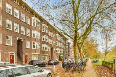 Yolun kenarında park etmiş arabaları ve bisikletleri olan bir apartmanın yanında bir ağaç.