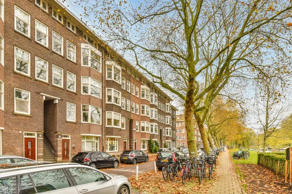 stock image a tree in the middle of a street with parked cars and bicycles on the side of the road next to an apartment building