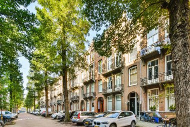 Amsterdam, Hollanda - 10 Nisan 2021: kaldırımda ve apartman binalarında ağaçların oluşturduğu bir caddenin kenarına park edilmiş bazı arabalar