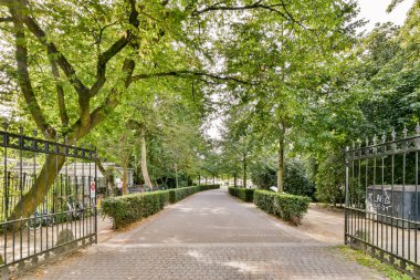 Parkın ortasında boş bir cadde. Her iki tarafında da ağaçlar ve çalılar var. Siyah bir kapı var.