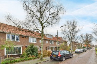 Amsterdam, Hollanda - 10 Nisan 2021: yan tarafında arabalar ve arka tarafında evler olan bir cadde, solunda çıplak ağaçlar var.