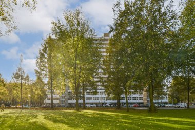 Amsterdam, Hollanda - 10 Nisan 2021: Güneşli bir günde arka planda ağaçların ve binaların olduğu bir park, arkasında mavi bir gökyüzüdür.