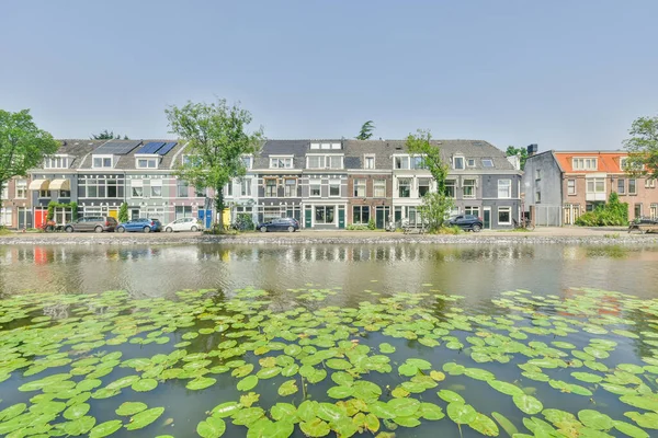 Sommige Huizen Waterlelies Het Midden Van Een Meer Met Groene — Stockfoto
