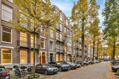 Amsterdam, Hollanda - 10 Nisan 2021: bazı arabalar bir sıra apartman ve ağaçların önüne park edilmiş sarı yapraklı arabalar