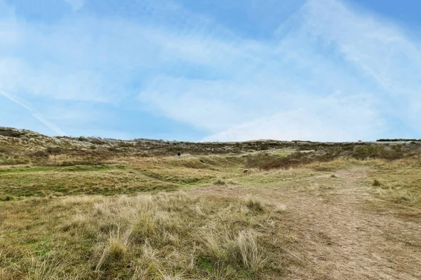 Ein Grasbewachsenes Feld Mit Blauem Himmel Hintergrund Und Etwas Gras — Stockfoto