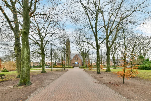 Arka Planda Bir Sürü Ağaç Olan Bir Park Yolun Diğer — Stok fotoğraf