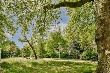 Amsterdam, Hollanda - 10 Nisan 2021: Parkın ortasında bir ağaç üzerinde insanlar yürüyor ve yolun her iki tarafında da ağaçlar var.