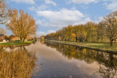 Kanalın ortasında her iki tarafında sarı yapraklarla çevrili evler olan bazı ağaçlar ve su.