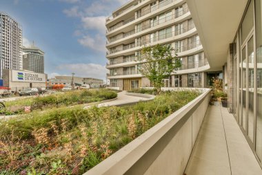 Amsterdam, Hollanda - 10 Nisan 2021: Yol kenarında büyüyen bir çok bitkiye sahip bir şehir ve uzaktaki binalar yüksek gökdelenlerdir