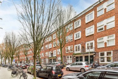 Amsterdam, Hollanda - 10 Nisan 2021: Yol kenarına park etmiş bazı arabalar bina ve ağaçların önünde yaprak ve dalları yok.