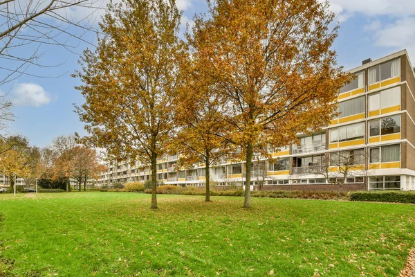 Een Appartementencomplex Met Herfstbladeren Het Gras Bomen Het Gebouw Bruin — Stockfoto