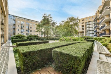 Amsterdam, Hollanda - 10 Nisan 2021: Bir avlunun ortasında bazı çalılıklar, arka planda apartmanlar ve üzerinde mavi gökyüzü.