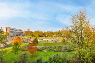 Güneşli bir sonbahar gününde arka planda ağaçlar ve binalar olan bir şehir parkı, yüksek bir açıdan çekilmiş.