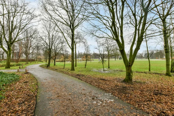 stock image a path in the park with trees and leaves on the ground, surrounded by bare branches that have fallen for years