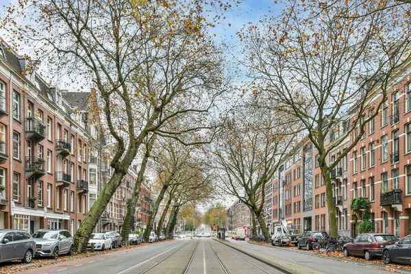 Uma Rua Vazia Com Carros Estacionados Lado Árvores Meio Rua — Fotografia de Stock