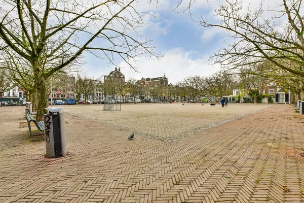 Ortalarında Ağaçlar Olan Boş Bir Şehir Meydanı Sokağın Diğer Tarafında — Stok fotoğraf