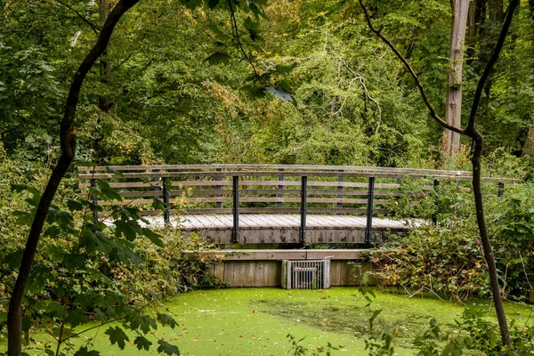 荷兰阿姆斯特丹 2021年4月10日 在阳光灿烂的一天 一座木桥矗立在绿树成荫的公园中央 — 图库照片