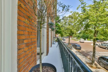 Caddenin önünde bir binanın yanında büyüyen bir ağaç. Arabalar ve binalar var.