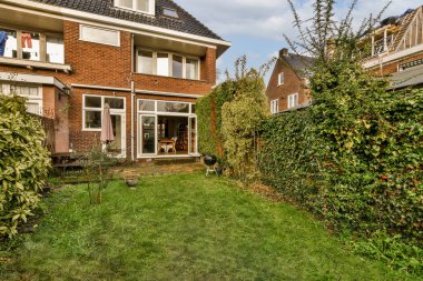 Ön planda bazı bitki ve çalıların olduğu bir dış alan, sanki çok güneşli değilmiş gibi.