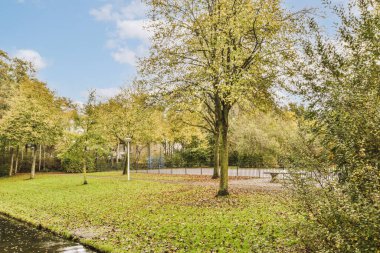 Sonbaharda yaprakları yere saçılmış bir park ve su parkların kenarına doğru akıyor.
