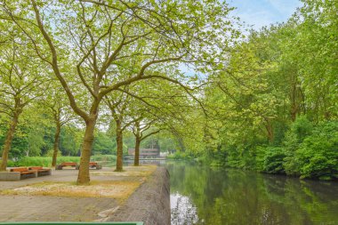 Güneşli bir günde, suların kenarında bazı ağaçlar ve banklar var. Arka planda mavi gökyüzü var.