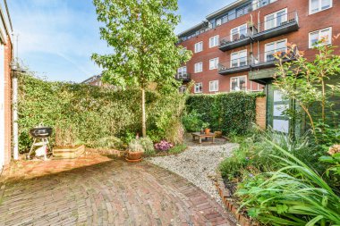 Amsterdam, Hollanda - 10 Nisan 2021: önde bazı bitki ve ağaçların bulunduğu bir arka bahçe - görüntü Flickonline com 'da yayınlanan bir makaleden alındı