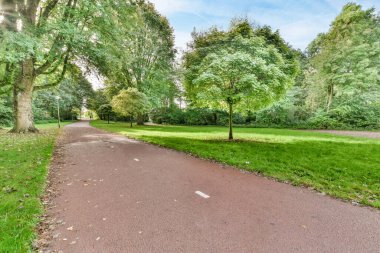 Amsterdam, Hollanda - 10 Nisan 2021: Her iki tarafında ağaçlar ve çimenler olan bir parkta mavi bir gökyüzü var.