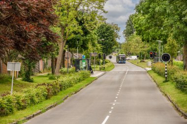 Her iki tarafında ağaçlar ve çalılar olan bir cadde. Yolun ortasında bir araba var.