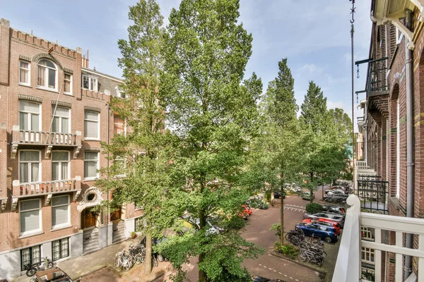 Amsterdam Holandia Kwietnia 2021 Drzewo Środku Obszaru Miejskiego Samochodami Zaparkowanymi — Zdjęcie stockowe