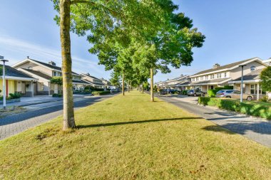 Amsterdam, Hollanda - 10 Nisan 2021: Arka planda evler ve her iki tarafında ağaçlar olan bir sokak, bir ağaç diğer tarafta eğilmiş.