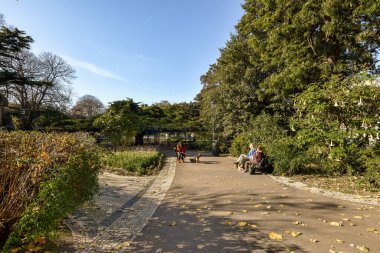 İki kişi arka planda ağaçlarla caddede yürüyor ve yolun her yerinde yapraklar bırakıyor.