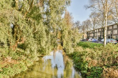 Amsterdam, Hollanda - 10 Nisan 2021: Her iki tarafında ağaçlar ve caddenin hemen yanında arabaların park edildiği bir yerleşim bölgesinden geçen bir nehir
