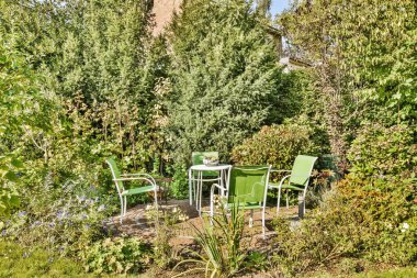 Bahçenin ortasında iki yeşil sandalye, arka planda mavi gökyüzü olan ağaçlar ve çalılarla çevrili.