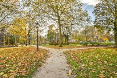 Amsterdam, Hollanda - 10 Nisan 2021: Sonbaharda yapraklarla kaplı bir park ve park girişine giden yolu kaplayan ağaçlar