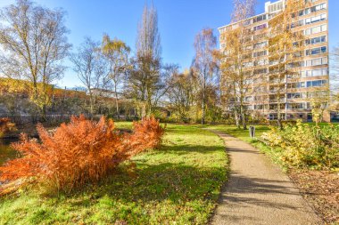 Arka planda ağaçlar ve binalar olan bir şehir parkı. Parlak güneşli bir sonbahar gününde Flickonline com 'dan fotoğraf çekimi.
