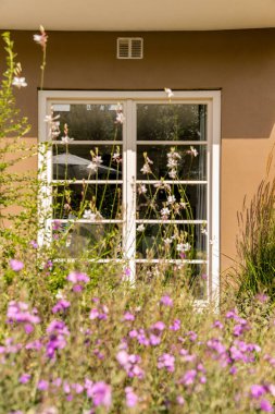 Amsterdam, Hollanda - 10 Nisan 2021: Sağ tarafında beyaz penceresi olan bir binanın önünde çiçek ve bitkilerin bulunduğu bir dış alan