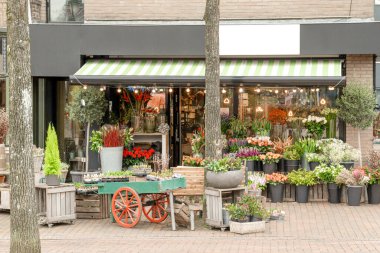 Amsterdam, Hollanda - 10 Nisan 2021: Ön camında bir sürü çiçek olan bir çiçekçi ve yerde bir araba dolusu çömlek var.