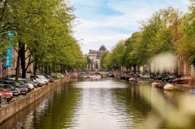 Amsterdam, Hollanda - 10 Nisan 2021: Arabalar park halinde ve ağaçlar sokağın kenarında dizili bir şehrin ortasındaki bir kanal