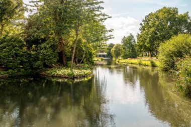 Amsterdam, Hollanda - 10 Nisan 2021: Önünde ağaçlar ve çalılar olan bir nehir, arka tarafındaki hareket eden bir tekneden alındı.