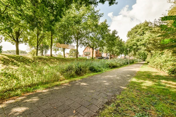 Amsterdam Niederlande April 2021 Ein Leerer Weg Inmitten Eines Parks — Stockfoto
