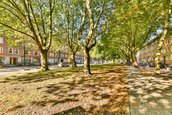 Een Met Bomen Omzoomde Straat Met Geparkeerde Auto Aan Zijkant — Stockfoto