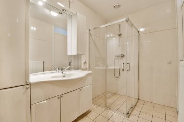 Lavabosu, aynası ve duş kabini olan bir banyo. Beyaz fayanslı zeminde görünen renkle aynı.