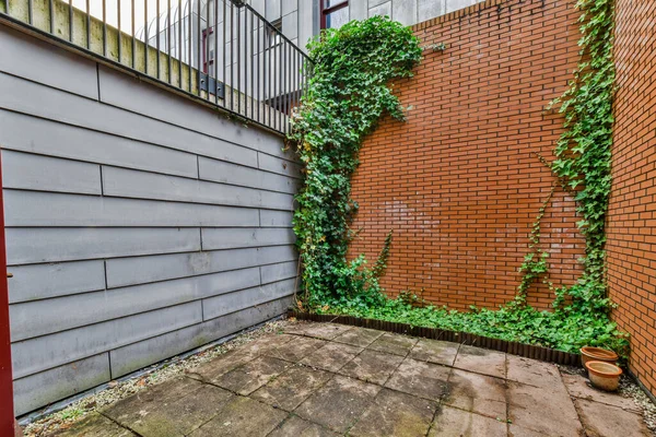 stock image a brick wall with ivy growing up the side of it and an open red door on the right hand side