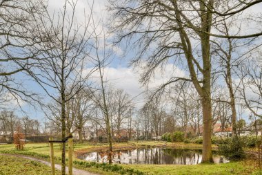 Parkın ortasında bir gölet, çıplak ağaçlar ve her iki tarafında yeşil çimenler, mavi gökyüzü ile çevrili.