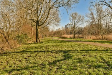 Parkta yaprakları olmayan bazı ağaçlar ve çimenler, üzerinde mavi bir gökyüzü var.