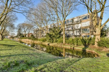 Bazı evler ve ağaçlar deniz kıyısında üzerinde yaprak olmayan bir kentsel alanda, ama açık mavi gökyüzü var.